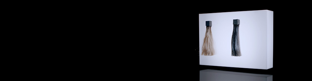 Hair against white backdrop ready to be tested.